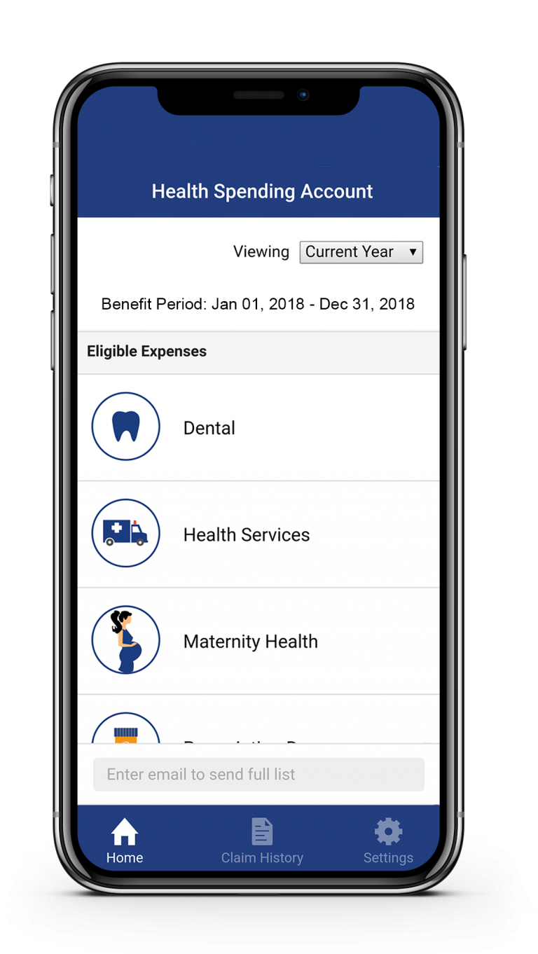 Health Spending Account Detail nationalhealthclaim